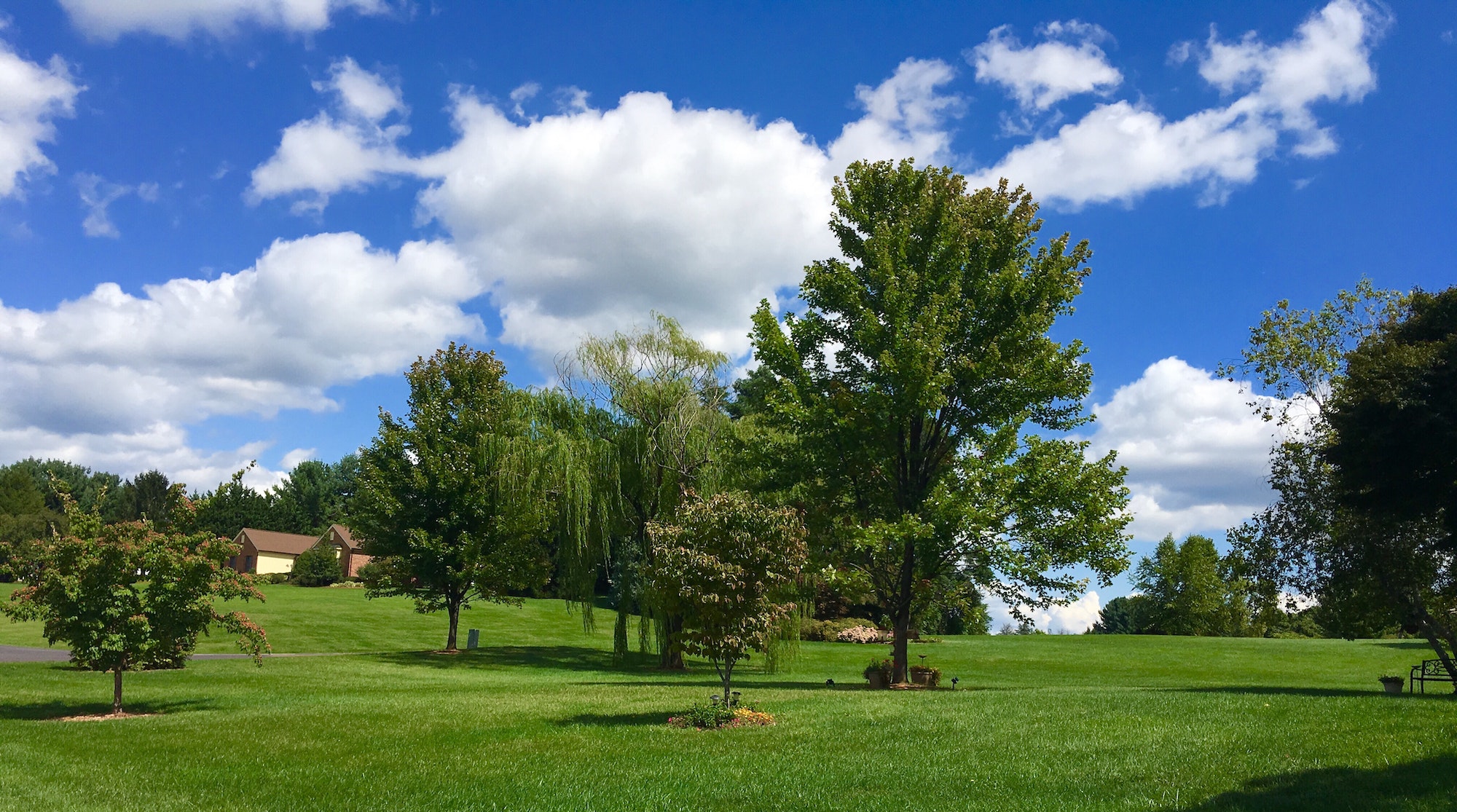 The Benefits of Professional Landscaping Services - Rone' Services